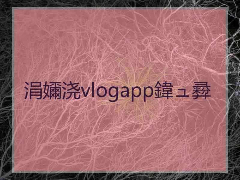 涓嬭浇vlogapp鍏ュ彛