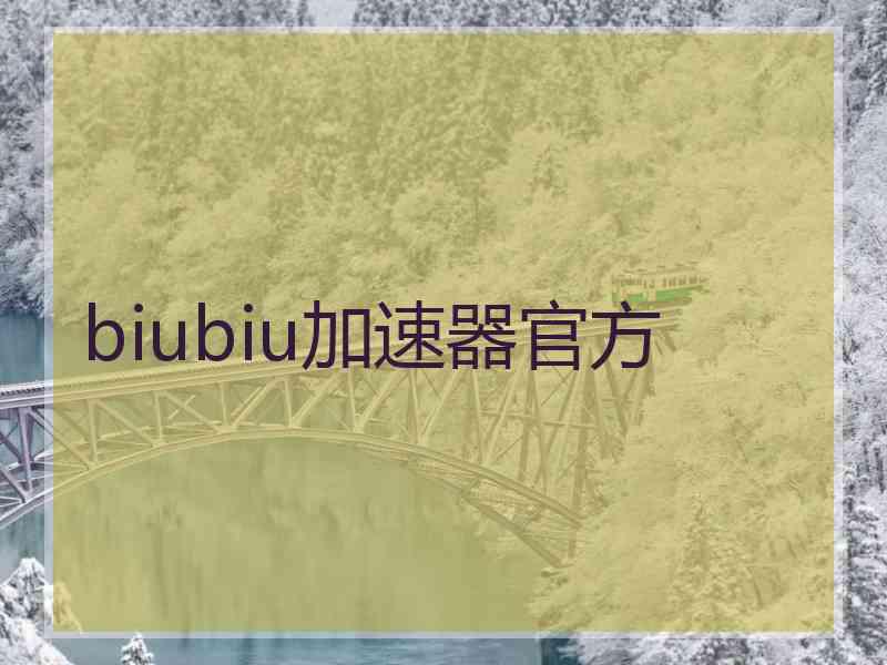 biubiu加速器官方