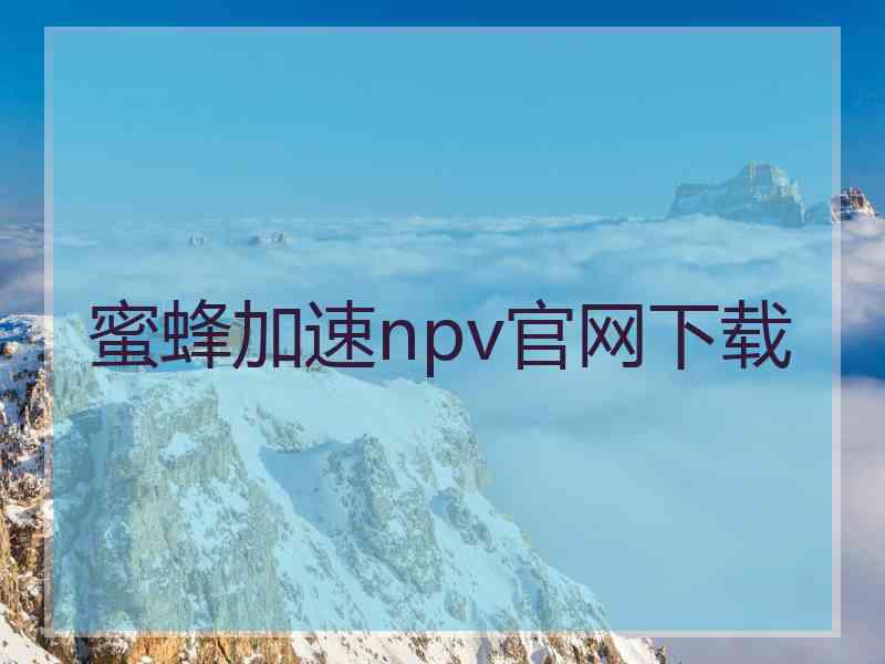 蜜蜂加速npv官网下载