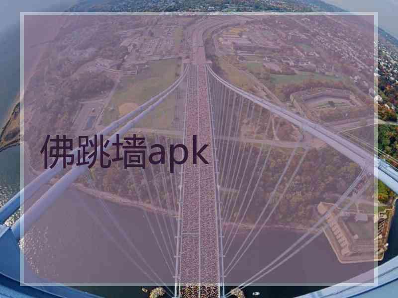 佛跳墙apk