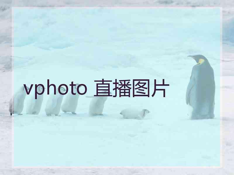 vphoto 直播图片