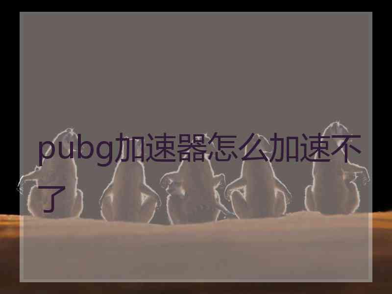 pubg加速器怎么加速不了