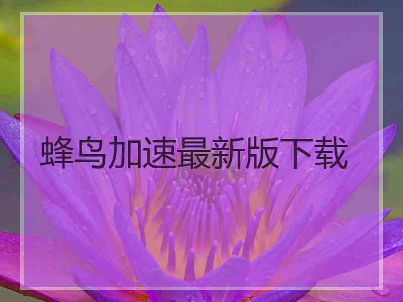 蜂鸟加速最新版下载