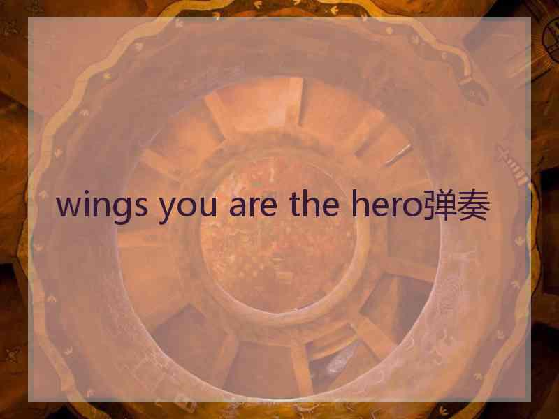 wings you are the hero弹奏