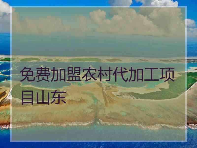 免费加盟农村代加工项目山东