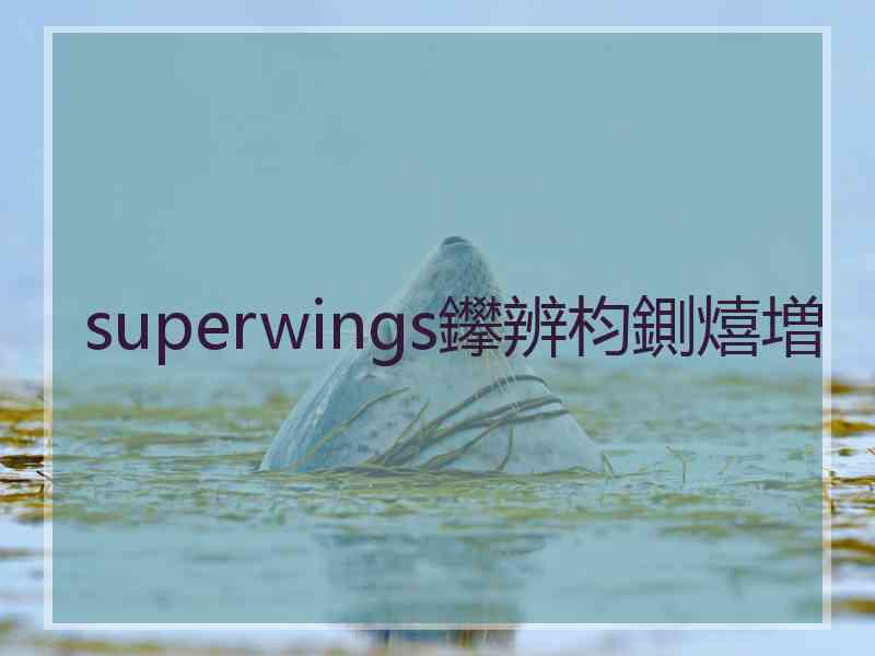 superwings鑻辨枃鍘熺増