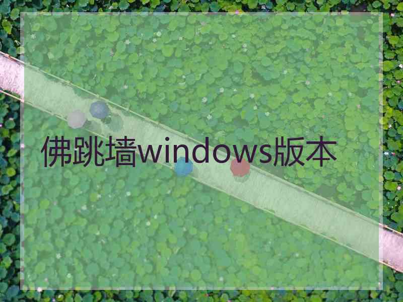 佛跳墙windows版本