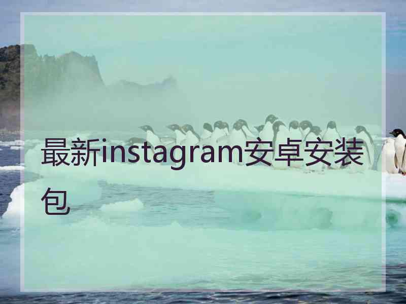 最新instagram安卓安装包