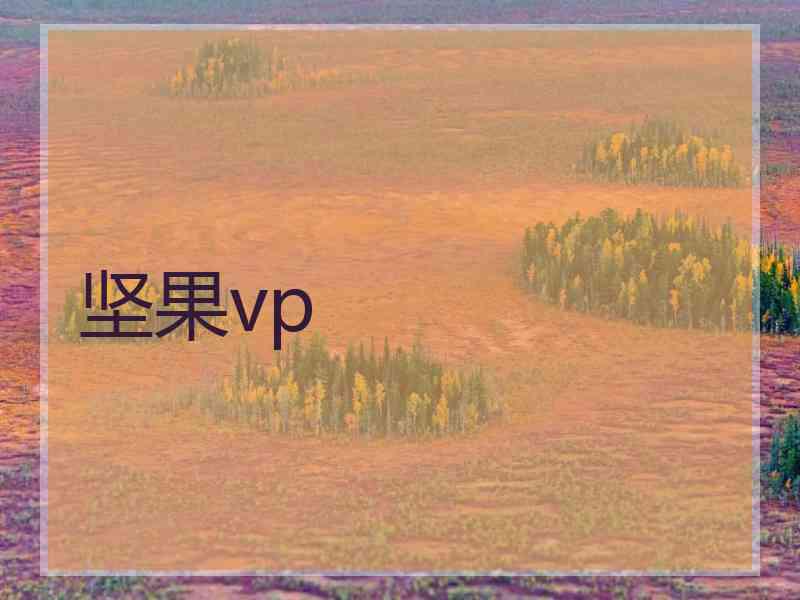 坚果vp