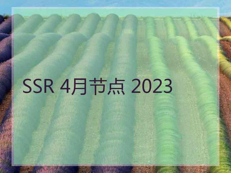 SSR 4月节点 2023