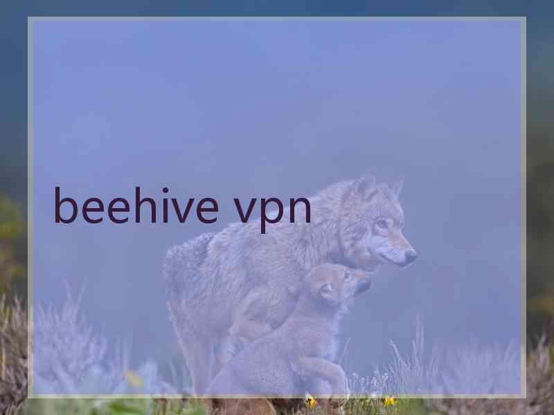 beehive vpn