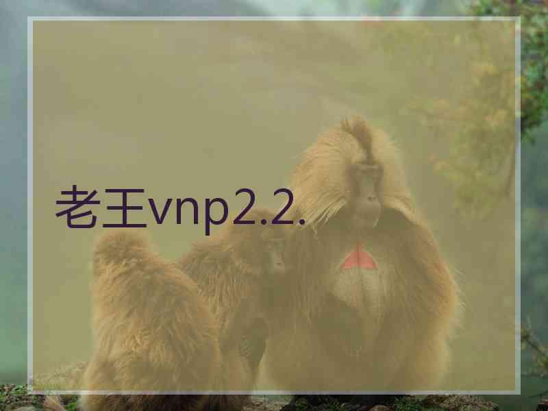老王vnp2.2.