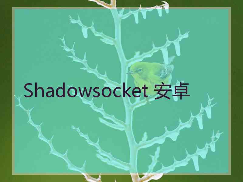 Shadowsocket 安卓