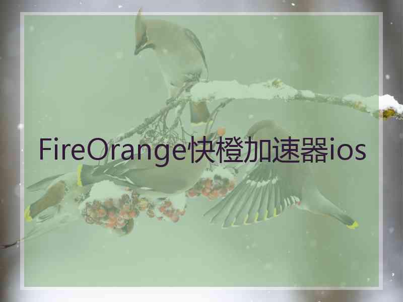 FireOrange快橙加速器ios