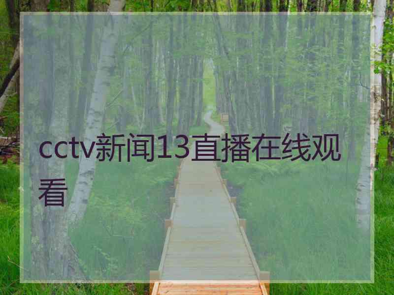 cctv新闻13直播在线观看