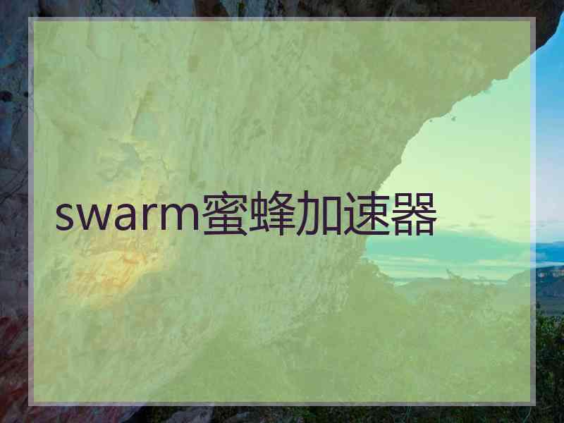 swarm蜜蜂加速器