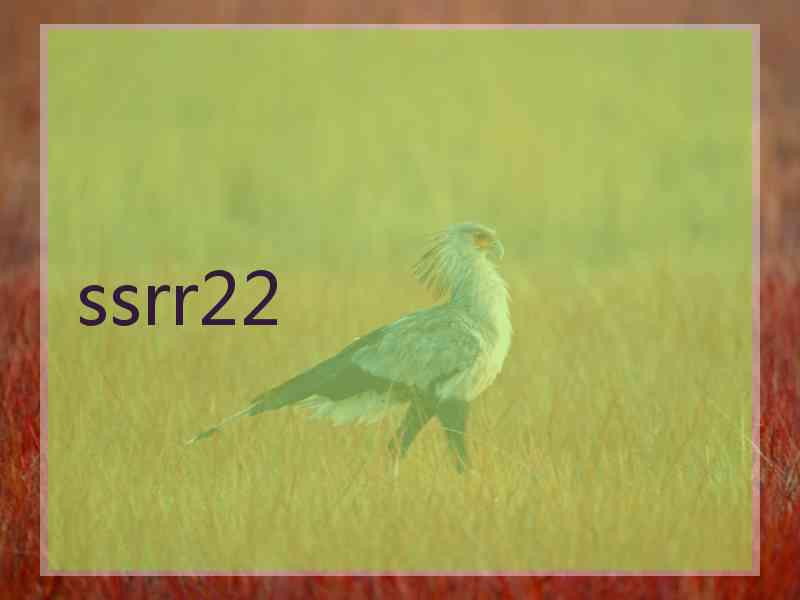 ssrr22