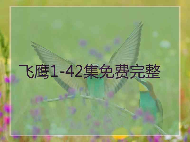 飞鹰1-42集免费完整