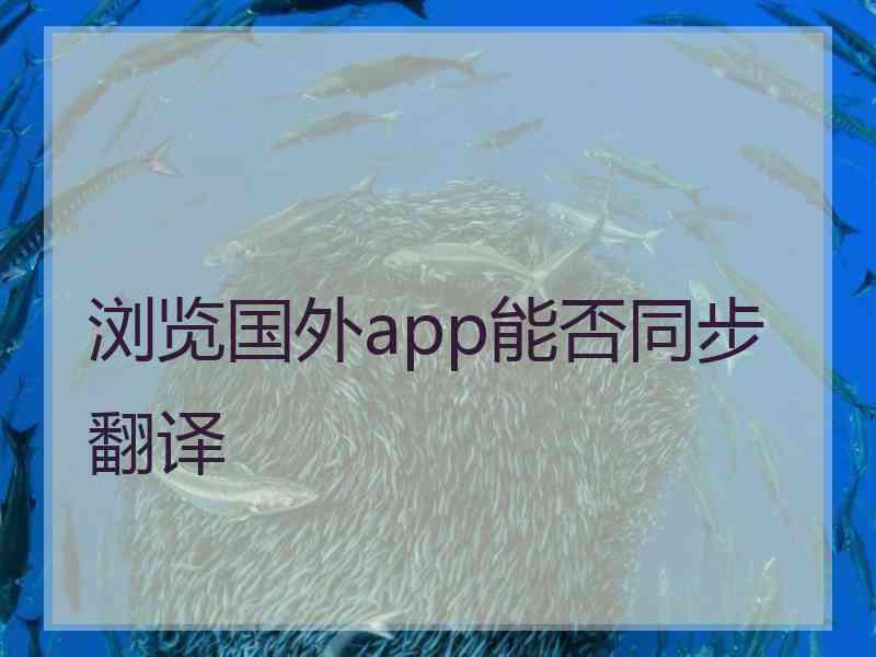 浏览国外app能否同步翻译