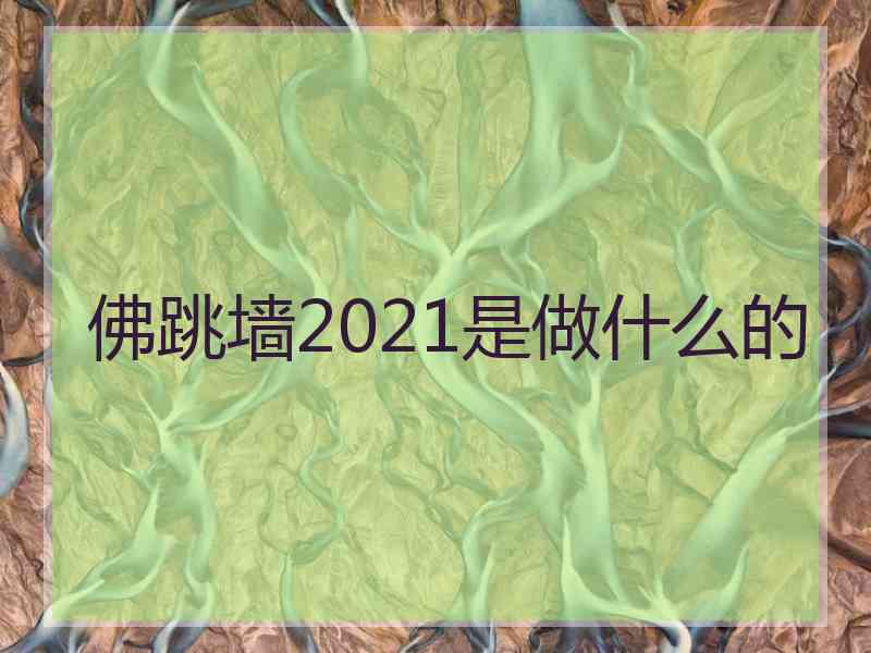 佛跳墙2021是做什么的