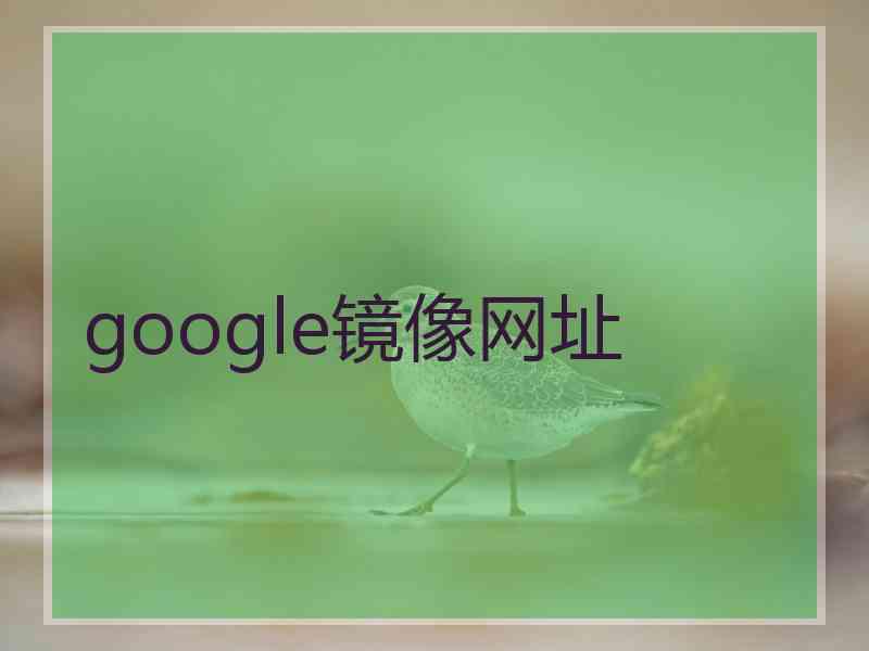 google镜像网址