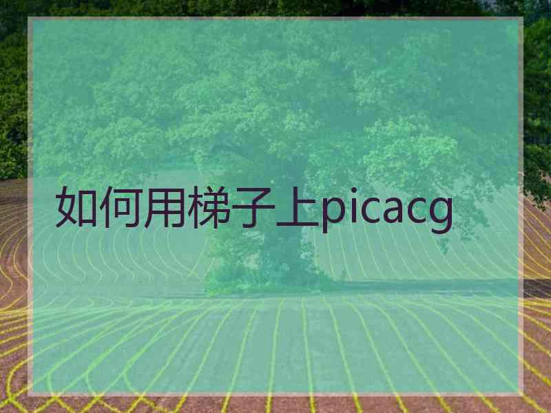 如何用梯子上picacg