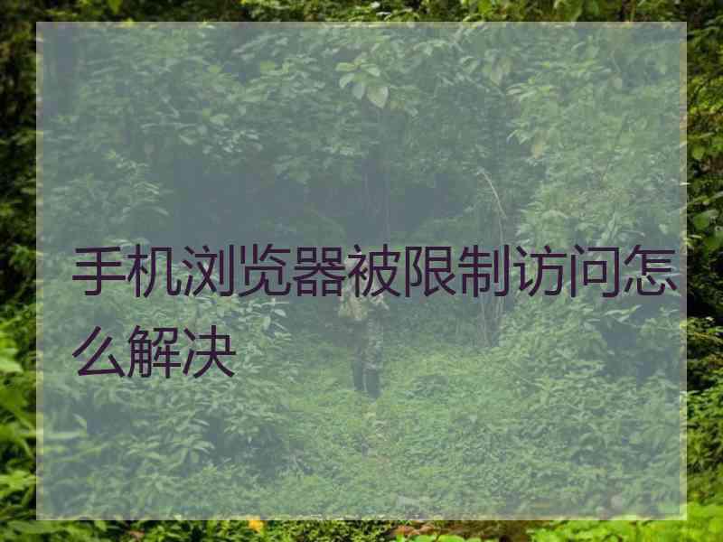 手机浏览器被限制访问怎么解决