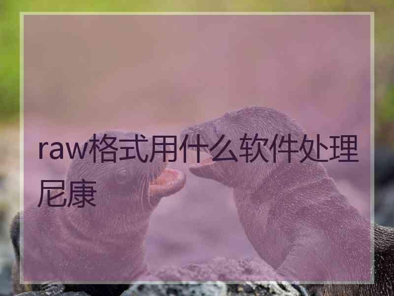 raw格式用什么软件处理尼康