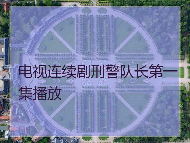 电视连续剧刑警队长第一集播放