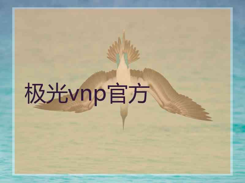 极光vnp官方