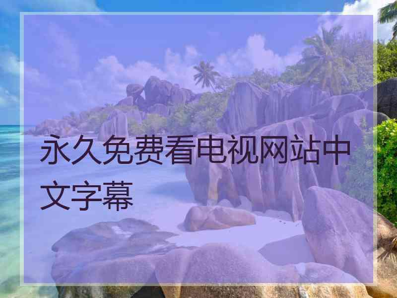永久免费看电视网站中文字幕