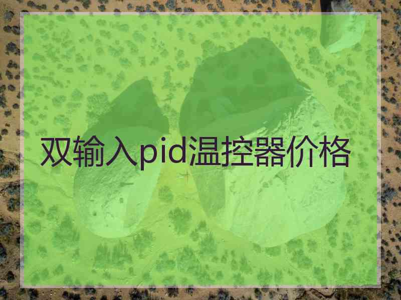 双输入pid温控器价格