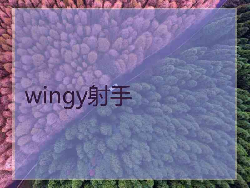 wingy射手