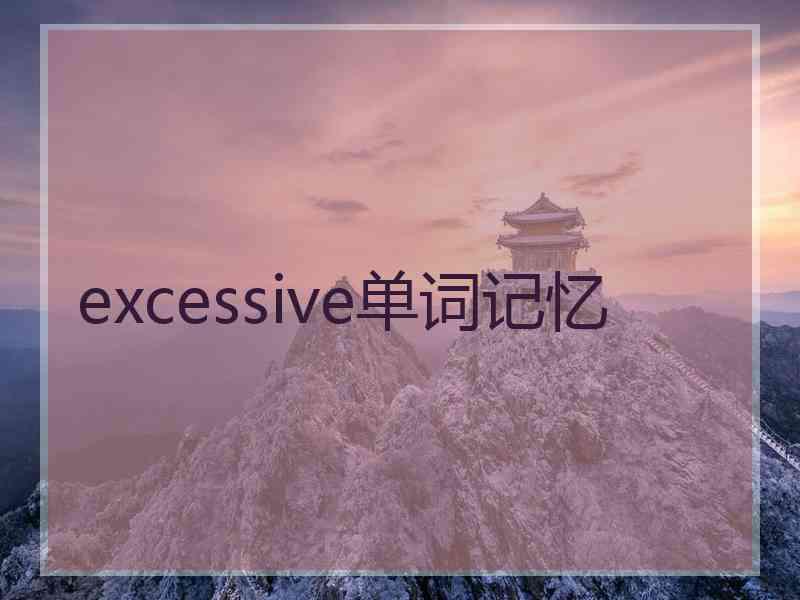 excessive单词记忆