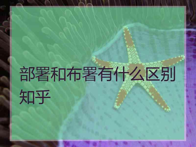 部署和布署有什么区别知乎