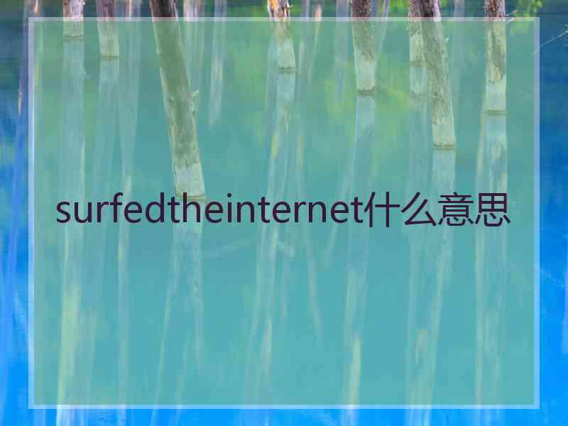 surfedtheinternet什么意思