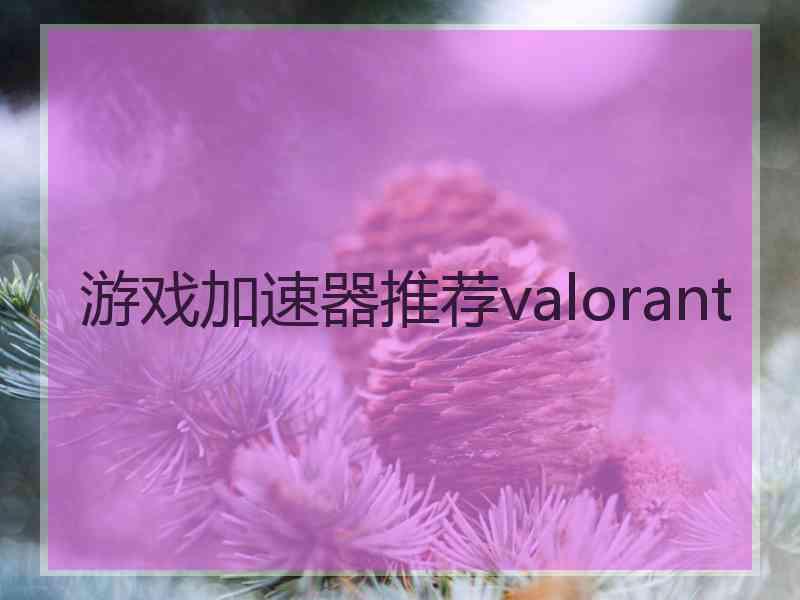 游戏加速器推荐valorant