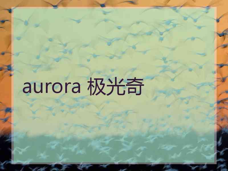 aurora 极光奇