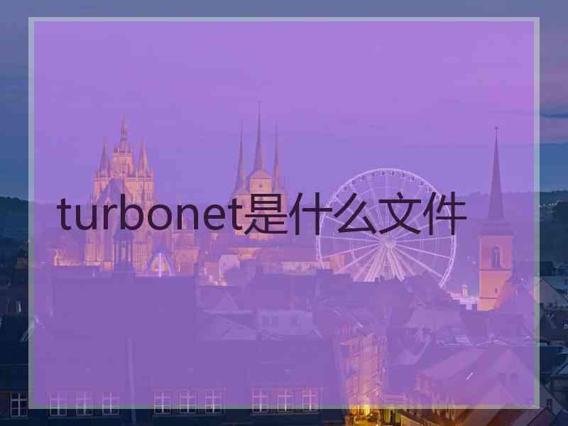 turbonet是什么文件