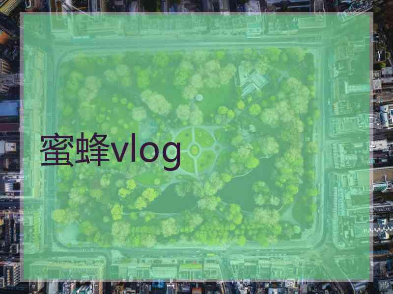 蜜蜂vlog