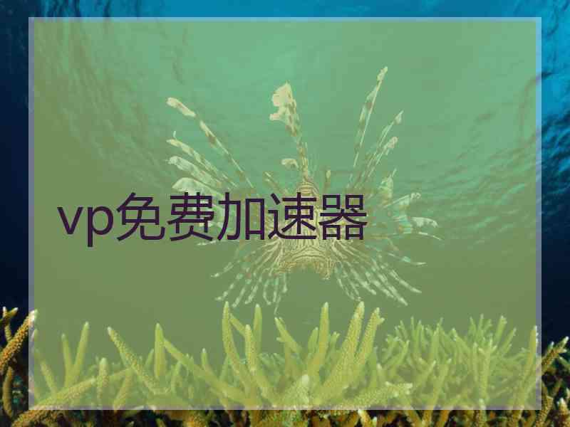 vp免费加速器