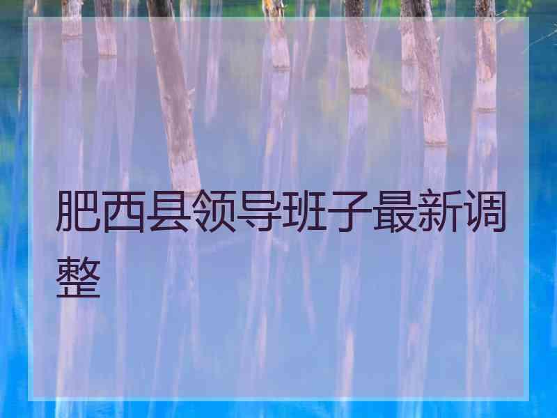 肥西县领导班子最新调整