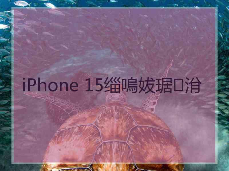 iPhone 15缁嗚妭琚洕