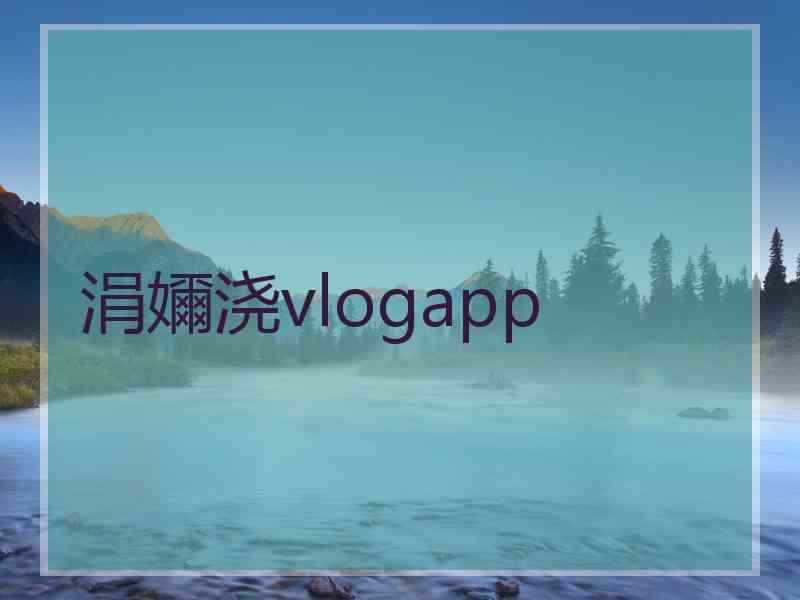 涓嬭浇vlogapp