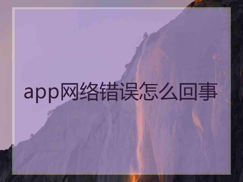 app网络错误怎么回事