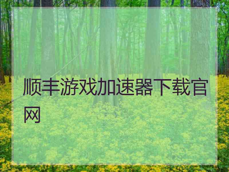 顺丰游戏加速器下载官网