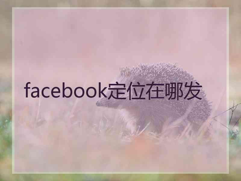 facebook定位在哪发