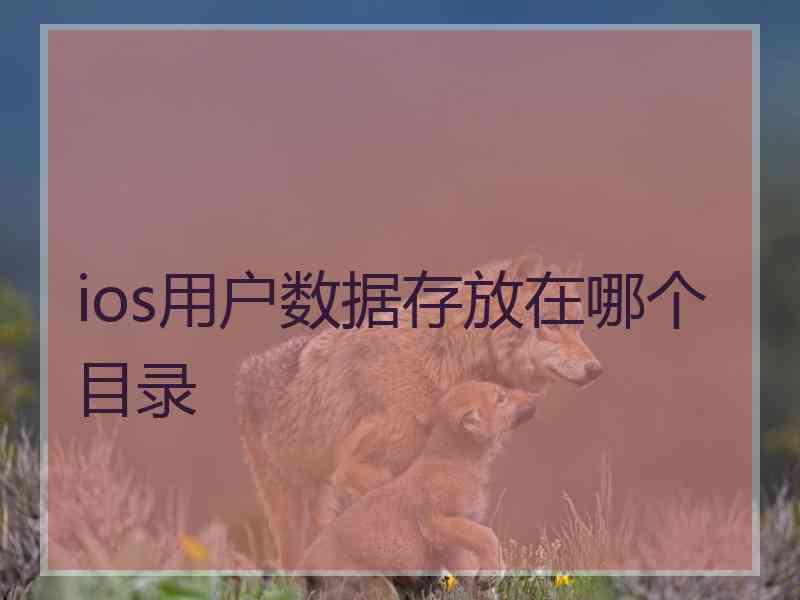 ios用户数据存放在哪个目录