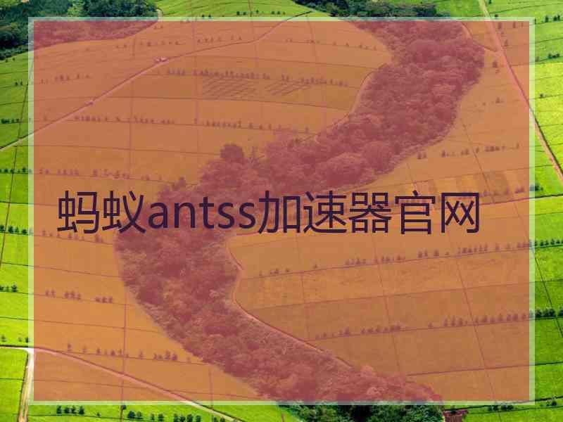 蚂蚁antss加速器官网