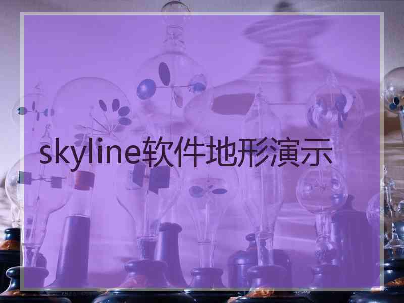 skyline软件地形演示